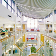 Milligan Reside Larkin - MRL - Civic - L