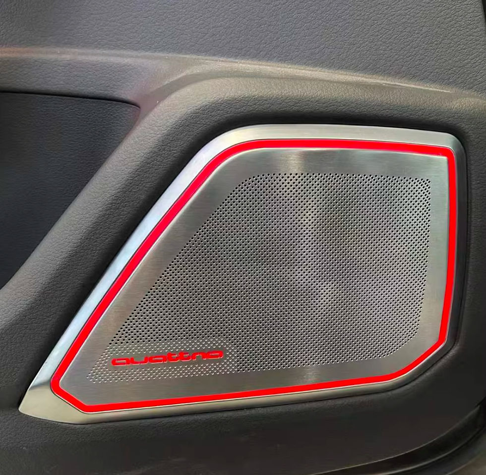 Audi A6 A7 Lautsprecherabdeckungen