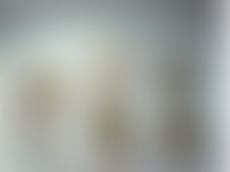 Flamengo atualiza painéis do Ninho do Urubu e eterniza o tetracampeonato da Libertadores