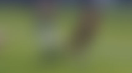 Pulgar avança na recuperação e Flamengo mira retorno contra o Estudiantes na Libertadores