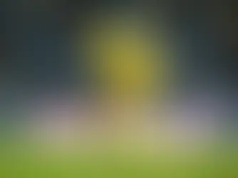 Andrew chega ao Flamengo com bagagem europeia e perfil moderno para o gol rubro-negro