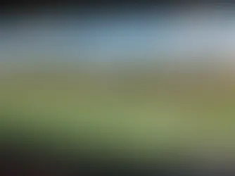 Flamengo estreia no Carioca em Volta Redonda após confirmação da Ferj