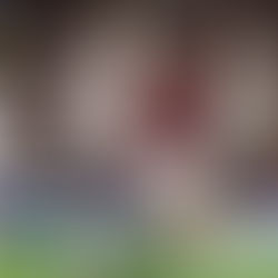 Flamengo encara o Vitória na 5ª fase da Copa do Brasil e inicia busca pelo hexa