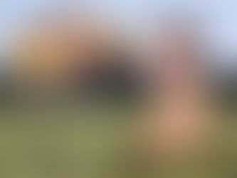 Pedrinho exagera no tom e parte para ataque infantil contra dirigente do Flamengo