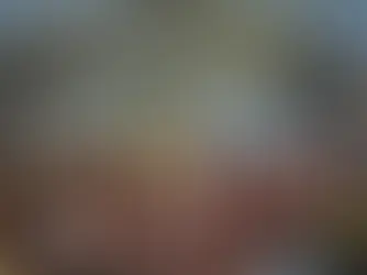 TETRACAMPEÃO! Flamengo domina, vence o Palmeiras e se torna o maior campeão brasileiro da Libertadores