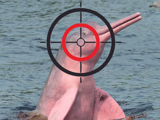 Bap busca novo nome para o futebol e futuro de José Boto no Flamengo fica incerto