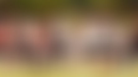 Jogadores do Flamengo podem ganhar nova chance com Leonardo Jardim