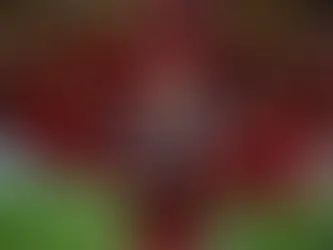 Cebolinha ganha força e pode assumir nova função no Flamengo no clássico contra o Fluminense