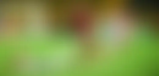 Flamengo vence o Bolívar, mantém 100% e se aproxima da liderança na Libertadores Sub-20