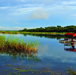 Barco motorizado en lago tranquilo, dosel rojo, juncos, vegetación verde, cielo brillante.