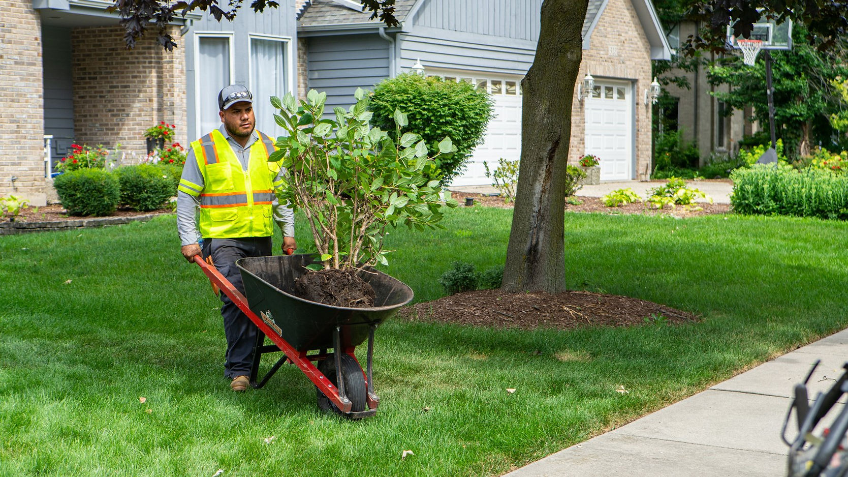 crew-planting-landscaping-installation.jpg