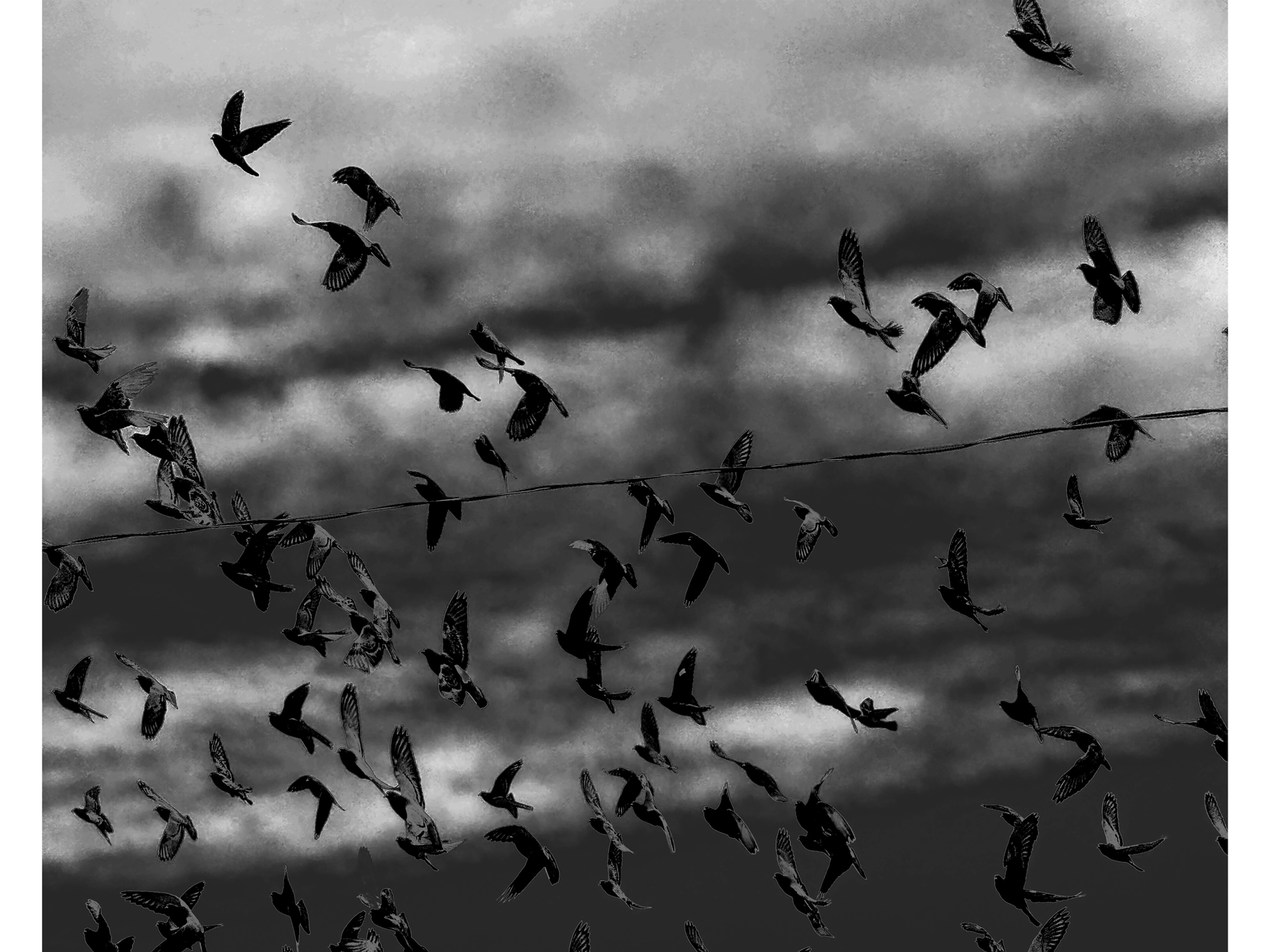 Freedom Twenty-Four