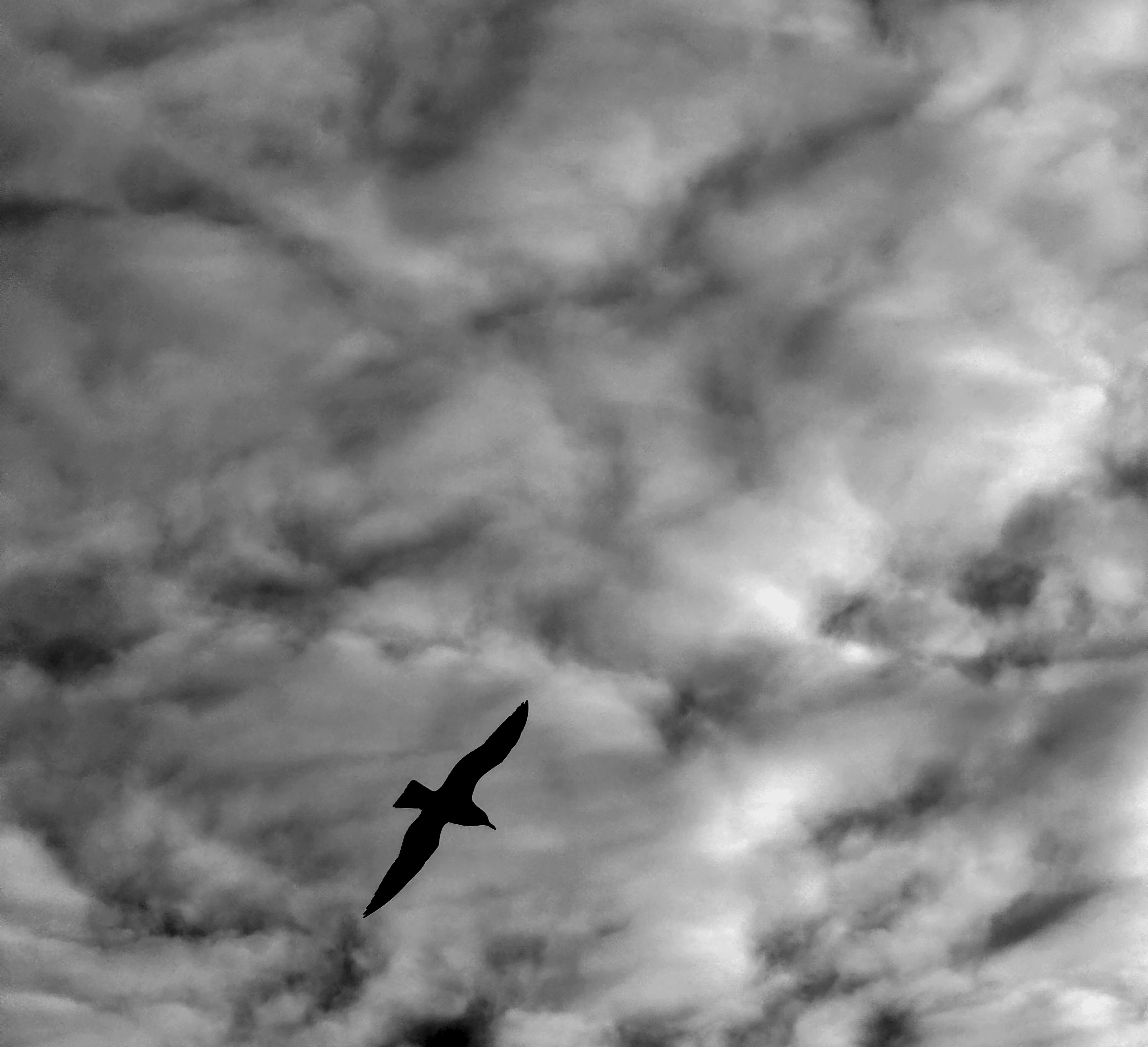 Freedom Twenty