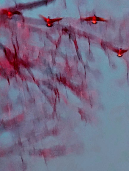 abstract bird silhouettes in red and blue hues