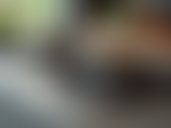 Eleva Tu Estilo con Bachas Elegantes para el Hogar