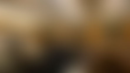 Renters' Rights Act 2025