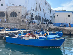 ……. final days holiday spree !