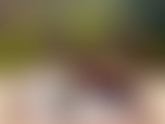 Autumn Colours, Flavours, and Traditions