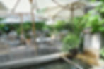 Bärengarten