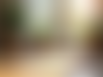 peaceful picture of yoga mat in front of window with plants