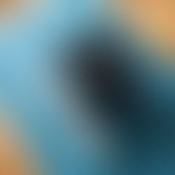 Beyond Weekend Trainings: Real University Degrees for Yoga Teachers (That Accept the GI Bill!)