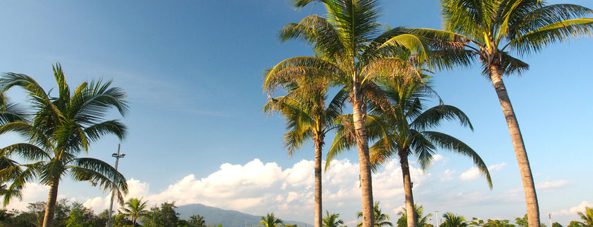 치앙마이노스힐3