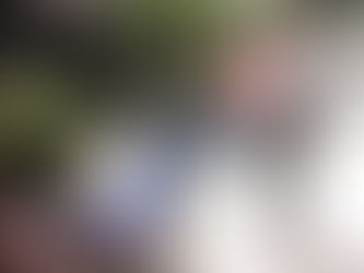 Rubber Support Project Goes to Waste?