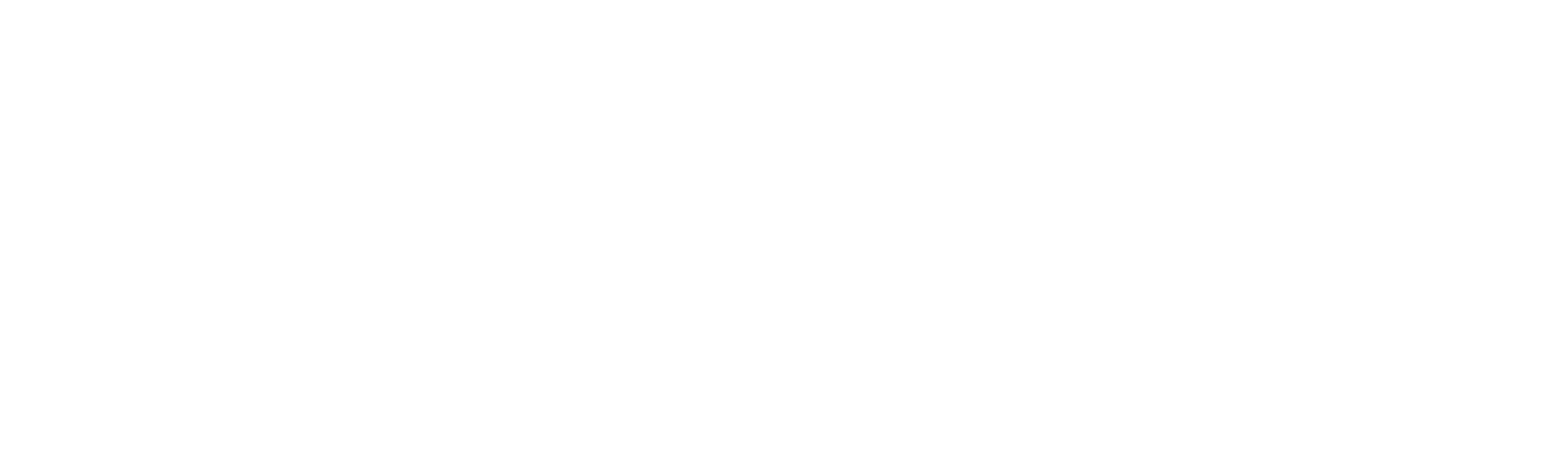 logo-hvit.png