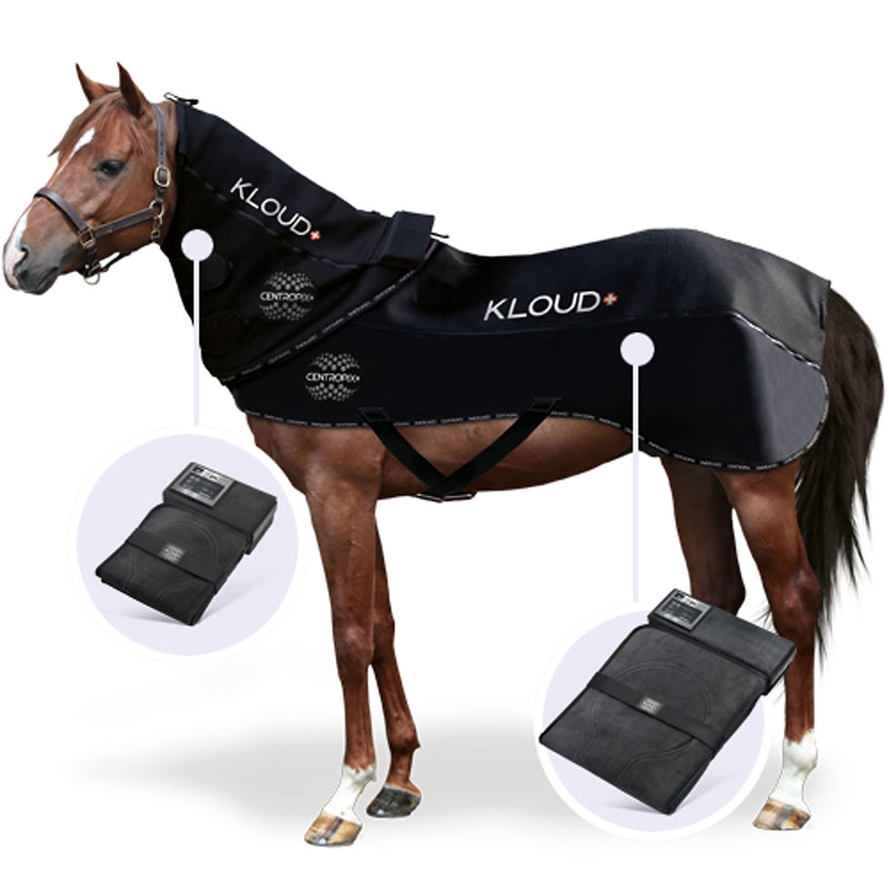 PRIS_KLOUD-VET-SET-COMPLETE-SW-500.jpg