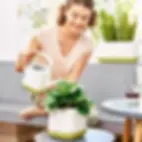 pistachio semi-gloss.webp