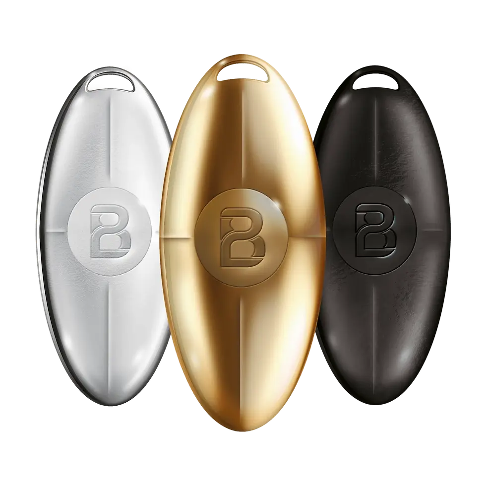 3 BUBBLE modeller