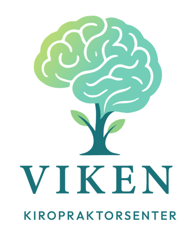 Kopi av Viken-01_edited.jpg