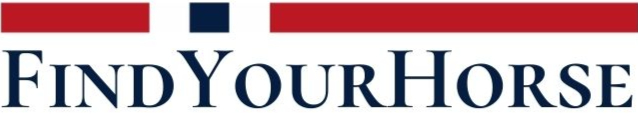 FindMyHorse_edited.jpg