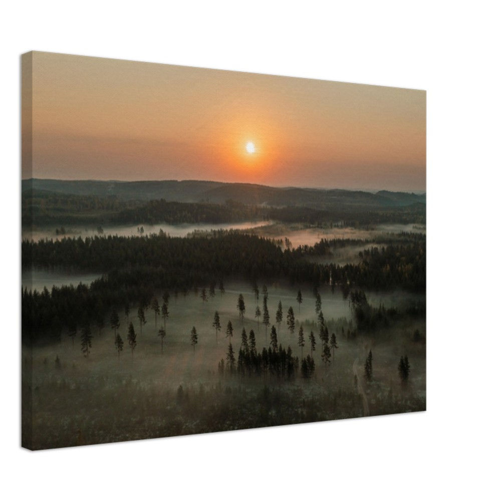 Mystinen metsä