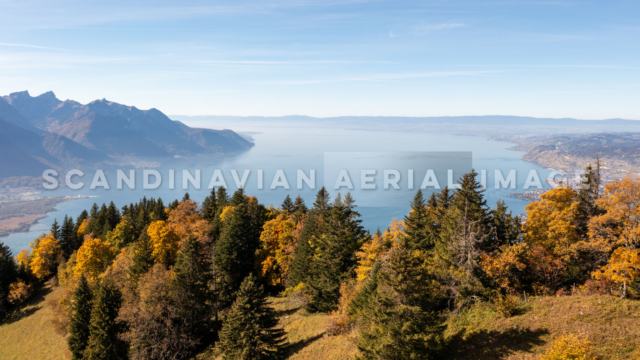 Beautiful autumn landscape 1