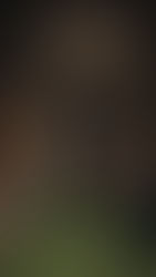 Valentino FW26 Alessandro Michele Roma