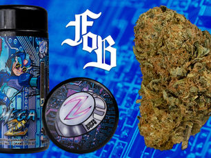 Fear of Boof - Super Dope Blue Mega Z Review