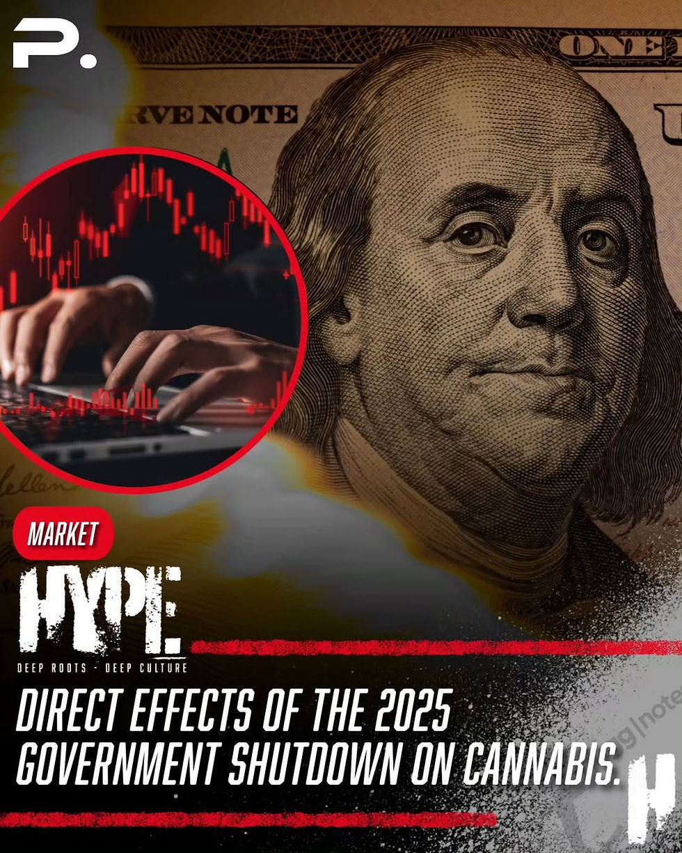 20 Dollar Bill showing a decline in value