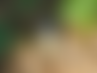 Smokey’s Solventless Darth Maul Rosin Review