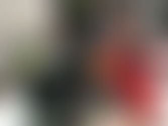 久々、立体アイロンビーズの大作が完成(@_@。