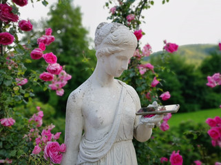 Venus online - Rosengarten Baden-Baden