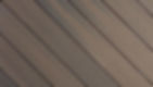 close up .jpg