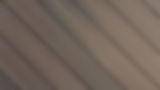 close up .jpg