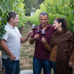 Simon Family Estate Wines And The Transformative Power Of Immigrant Roots