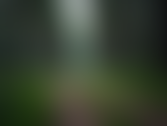 Understanding the Core of ACT Therapy