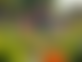 The Role of Community Support in Family Community Care