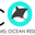 Writer: Cozumel Ocean Research