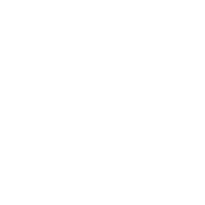 loader-loading-white.gif