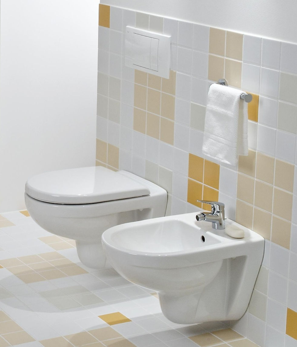 Toilet & Bidet