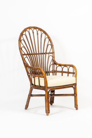 Vintage Rattan Peacock Chair2.CKB.jpg